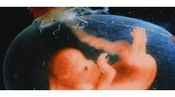 八字中的胎元命宫身宫的重要性【胎元命宫有什么用】