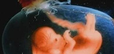 八字中的胎元命宫身宫的重要性【胎元命宫有什么用】