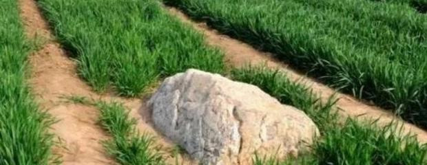 世界上最矮的山叫什么名字【世界上最矮的山前十名】