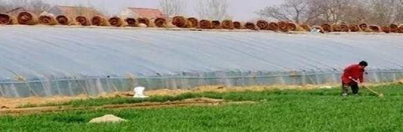 世界上最矮的山叫什么名字【世界上最矮的山前十名】