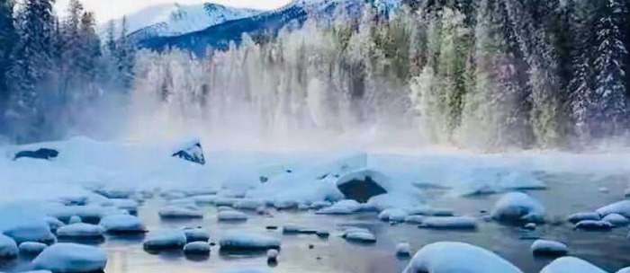 冬至吃狗肉的由来【冬至吃狗肉有什么好处】