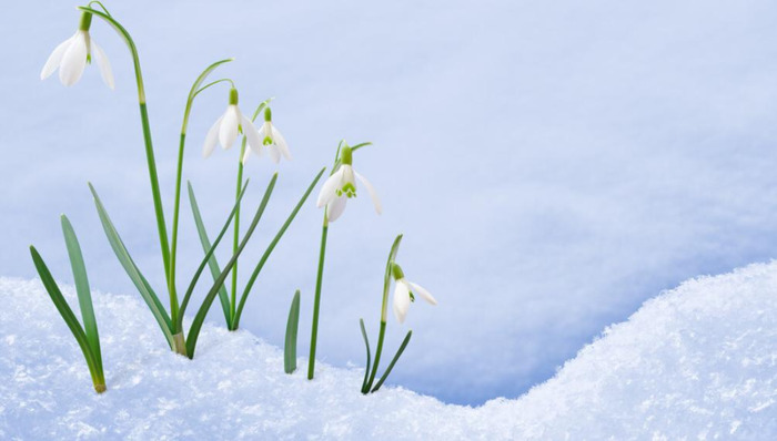 冬至吃狗肉的由来【冬至吃狗肉有什么好处】