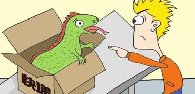 什么物流可以寄活物【现在哪个快递公司可以发活物】