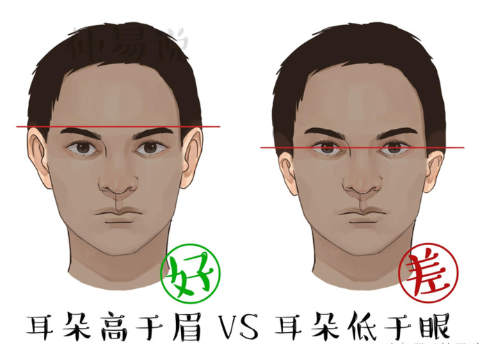 有耳垂和没耳垂有什么区别【没有耳垂和有耳垂区别】