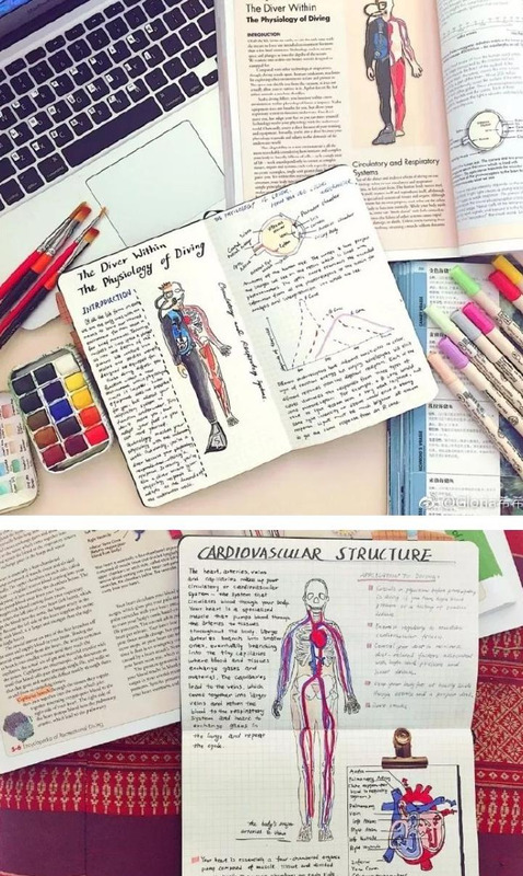 手账素材简单边框【手帐素材电子版】