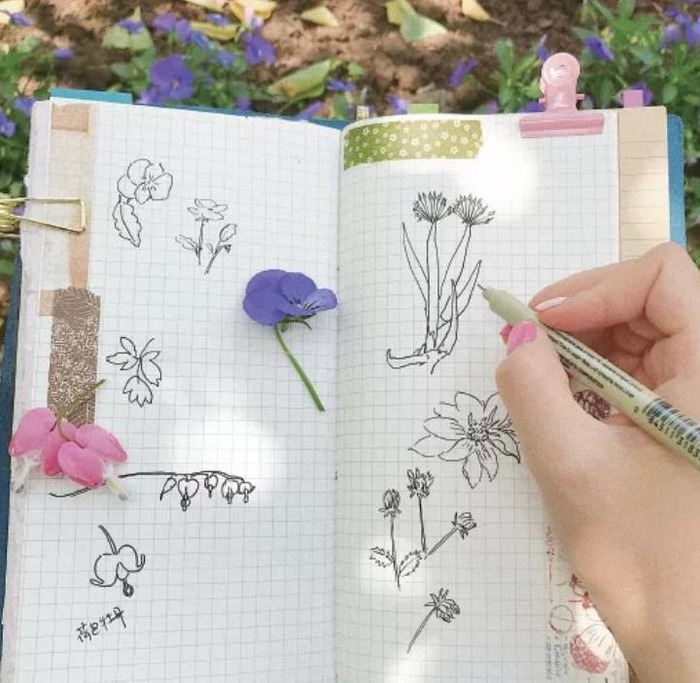 手账素材简单边框【手帐素材电子版】