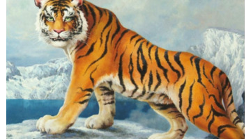 12生肖哪个动物最大胆【胆子大的十二生肖有哪些】