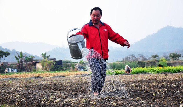 裂变营销方案【裂变营销是传销吗】