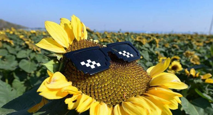 水滴筹是怎么搞的【水滴筹怎么做起来的】