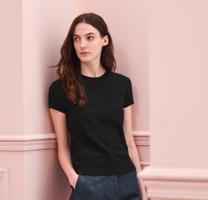 爱马仕的标志腰带【爱马仕图标标志大全】