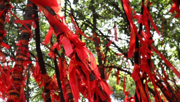 张家界凤凰古城旅游攻略自由行【长沙到凤凰古城旅游攻略自由行】