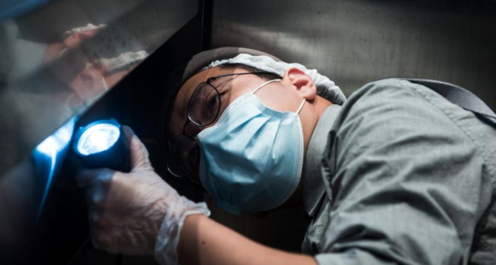 长沙喜茶招聘【长沙喜茶科技有限公司】