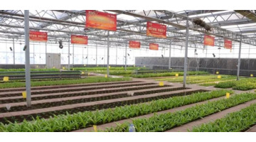 长春 周边游【长春短途自驾游玩景点推荐】