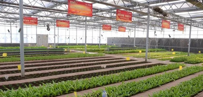 长春 周边游【长春短途自驾游玩景点推荐】