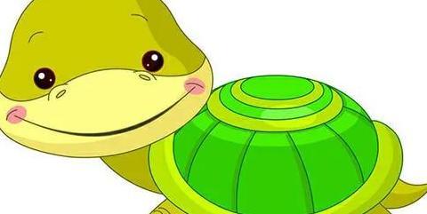 乌龟眼睛睁不开多久能治好【乌龟睁不开眼睛怎么办】