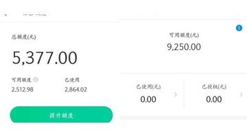 白条新人的额度是多少【刚开白条额度多少】