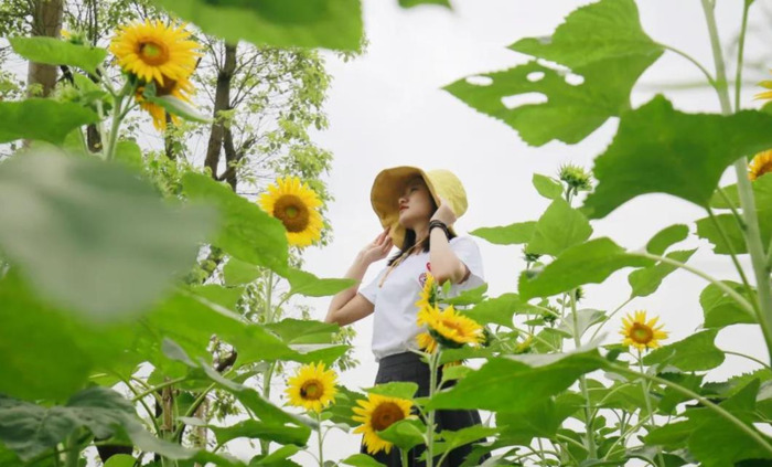 对称构图的作用【对称构图法要讲究完全对称】