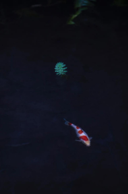 对称构图的作用【对称构图法要讲究完全对称】