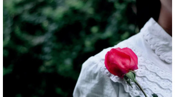 赞美花的唯美句子 玫瑰【赞美花的优美句子】