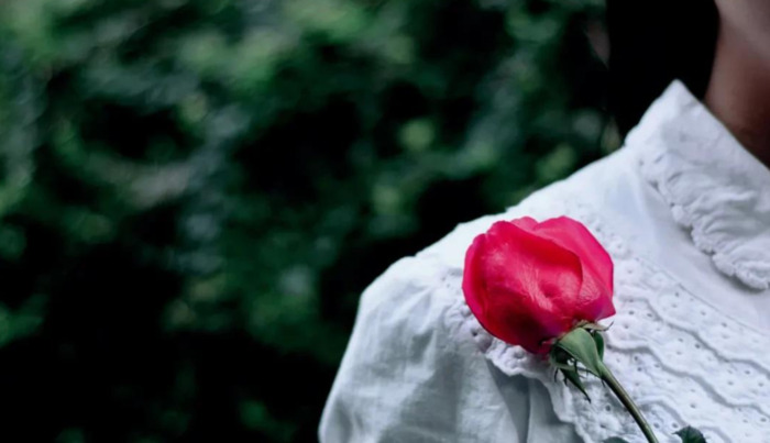 赞美花的唯美句子 玫瑰【赞美花的优美句子】