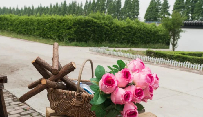 赞美花的唯美句子 玫瑰【赞美花的优美句子】