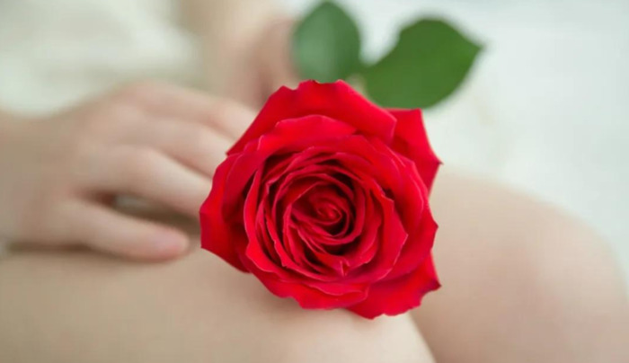 赞美花的唯美句子 玫瑰【赞美花的优美句子】