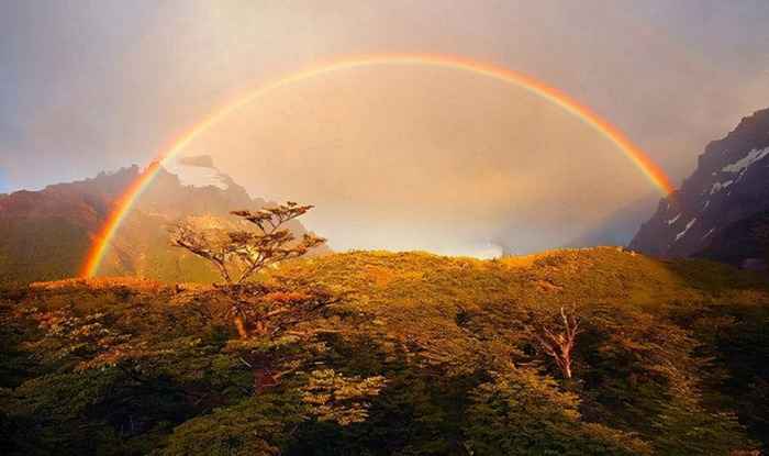 谁持彩练当空舞全诗阅读【谁持彩练当空舞上句】