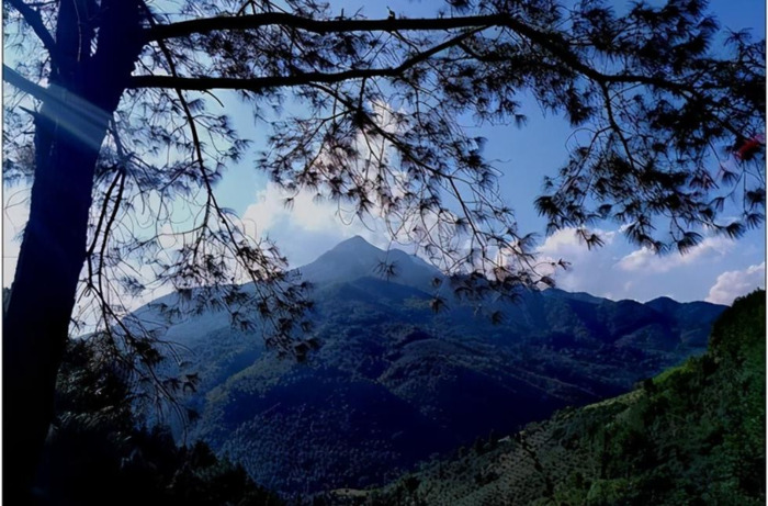 谁持彩练当空舞全诗阅读【谁持彩练当空舞上句】