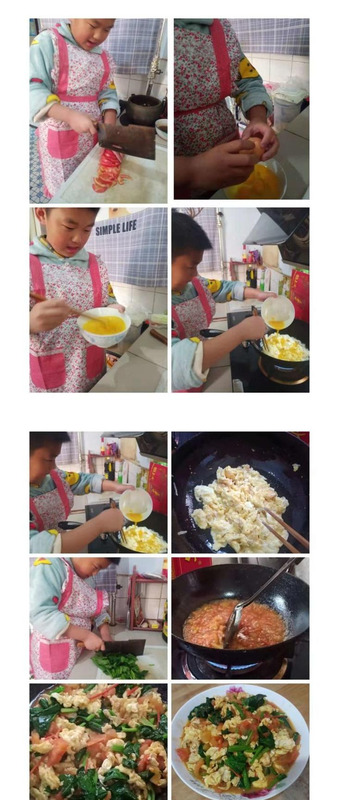 做饭的体会和感受100字【做饭的实践感悟50字】