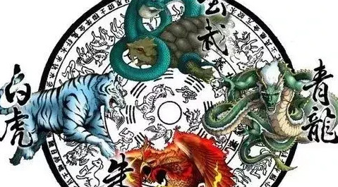 六爻中的老阳老阴【六爻中老阴老阳怎么变化】