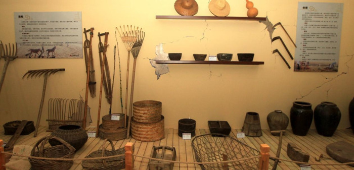 稻麦黍稷菽怎么读百谷之长【稻麦黍稷菽怎么读禾字旁加术读什么】