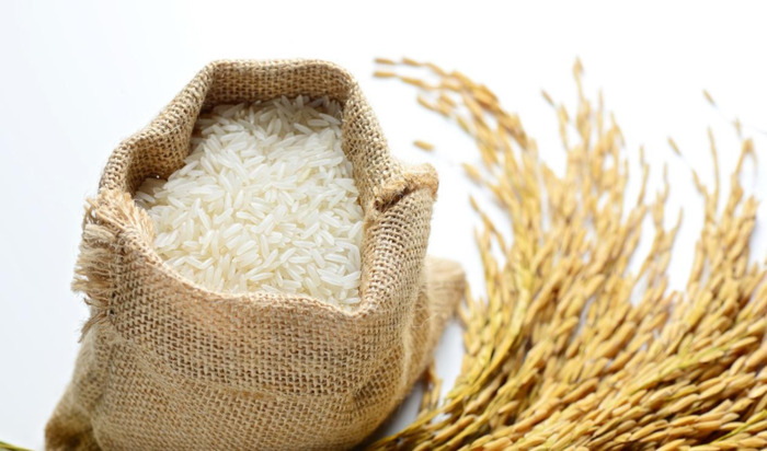 稻麦黍稷菽怎么读百谷之长【稻麦黍稷菽怎么读禾字旁加术读什么】