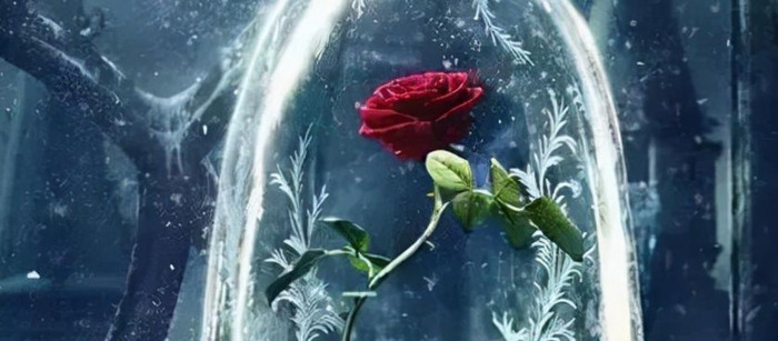 美女与野兽的故事告诉我们什么道理【美女与野兽的童话故事】