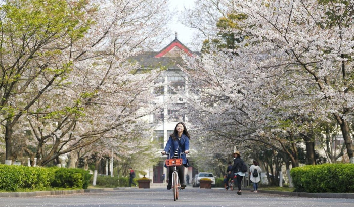 南京的大学考研难度排名【南京中医药大学考研难度】