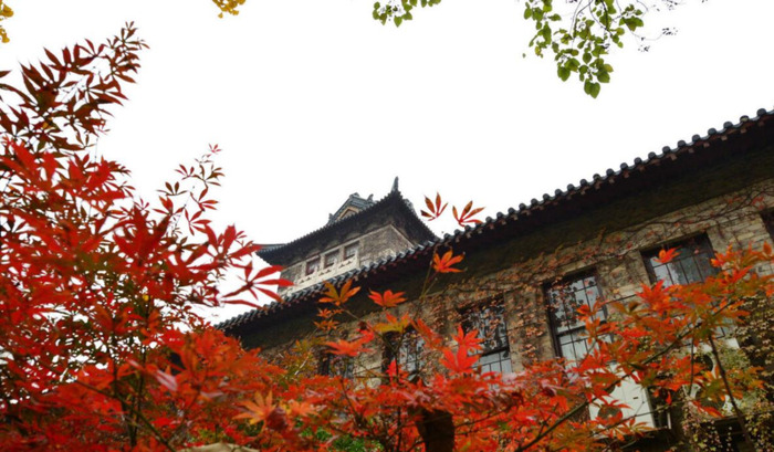 南京的大学考研难度排名【南京中医药大学考研难度】