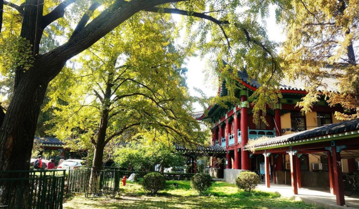 南京的大学考研难度排名【南京中医药大学考研难度】