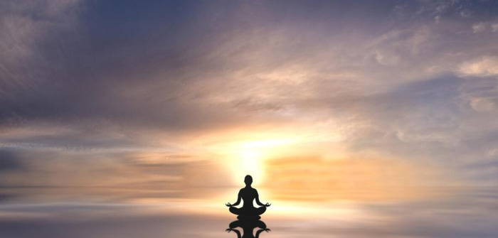 杨定一博士专栏【杨定一博士出生年月日】