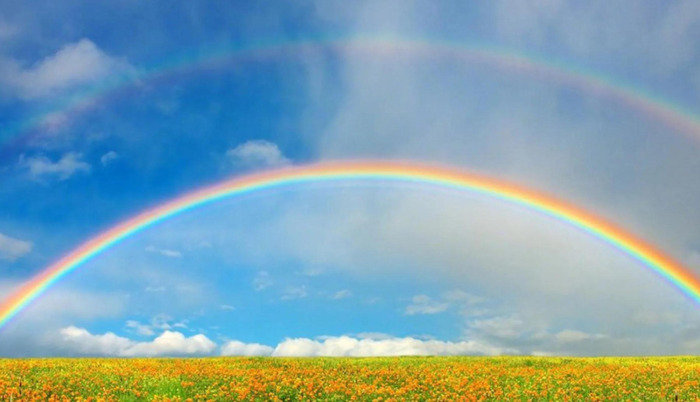 大母0和猛1什么意思【大母0和大母1什么意思】