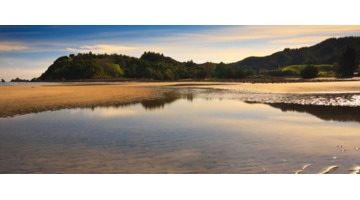 卯木是阳木还是阴木【卯木藏干有哪些】