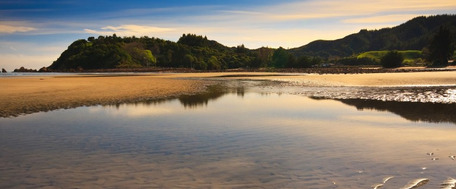 卯木是阳木还是阴木【卯木藏干有哪些】