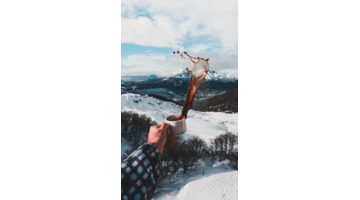 语段摘抄经典语录【励志语段摘抄】