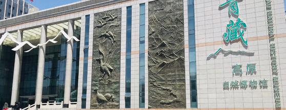 青海自助旅游攻略【青海西宁自助游】