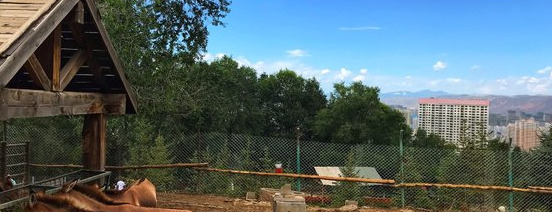 青海自助旅游攻略【青海西宁自助游】