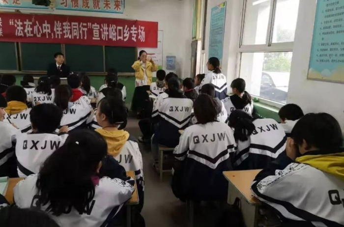 青春与法同行作文【与法同行作文800字高中生】