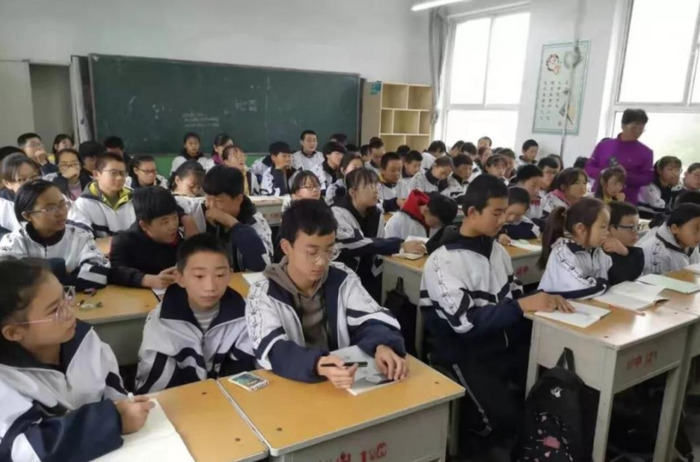 青春与法同行作文【与法同行作文800字高中生】