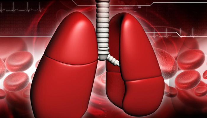 万艾可官方网站【正规万艾可图片】