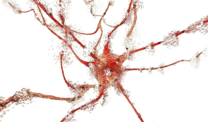 城市合伙人的模式是怎么样的【城市合伙人盈利模式】