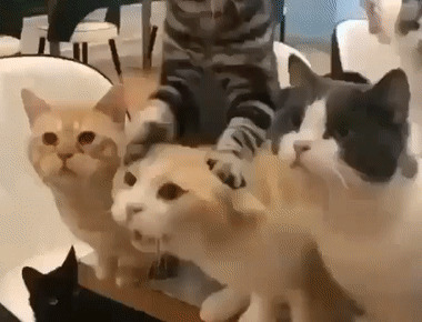 买新车幽默发朋友圈图片【买新车幽默发朋友圈文案】