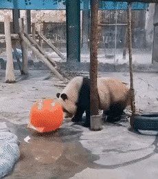 买新车幽默发朋友圈图片【买新车幽默发朋友圈文案】