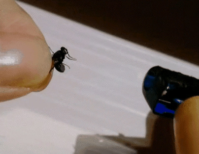 买新车幽默发朋友圈图片【买新车幽默发朋友圈文案】